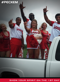 Team infographics, Lamar Football, Lamar, Southland Conference, Snapshot, Infographic